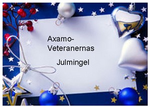 Julmingel 2016