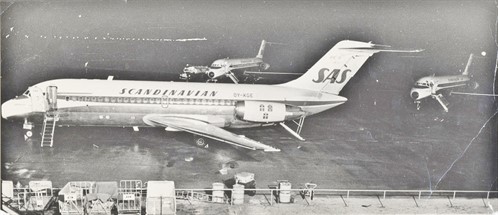 Axamo 443