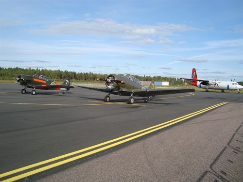 Flygdag_2